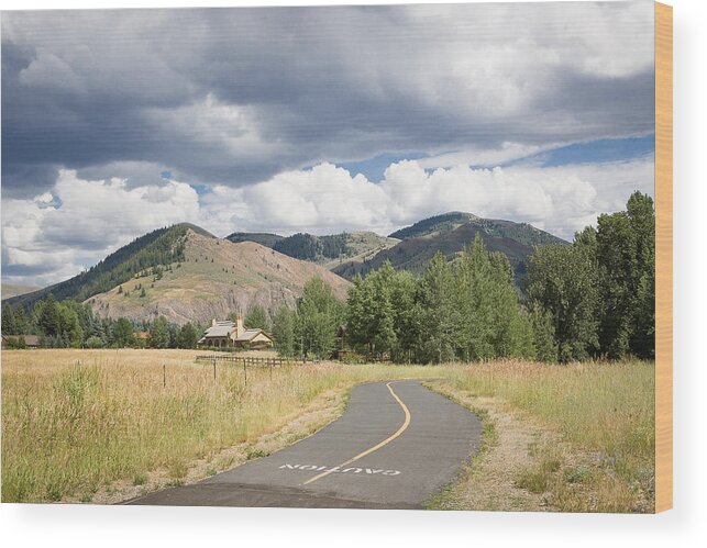 Idaho Wood Print featuring the photograph Wood River Bike Path by Dave Hall