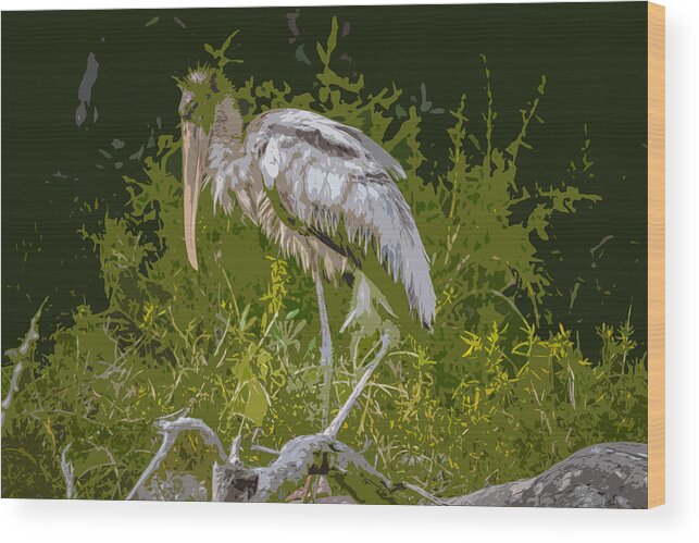 Birds Wood Print featuring the photograph Wood Stork by George Kenhan