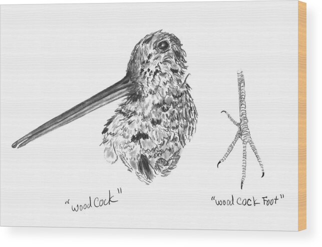 Iowa Wood Print featuring the drawing Woodcock With Foot by Kevin Callahan