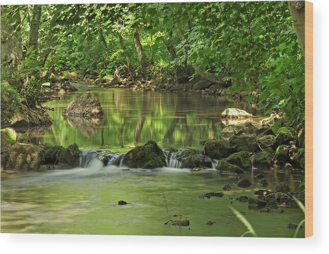 Britain Wood Print featuring the photograph Woodland River Scene - Wolfscote Dale by Rod Johnson