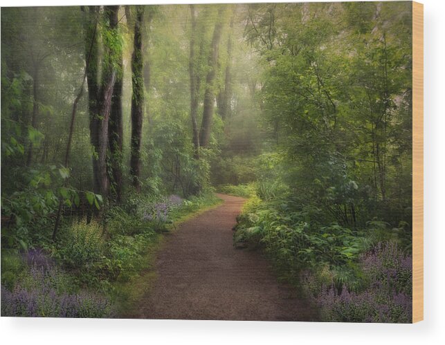 Nature Wood Print featuring the photograph A New Spring by Robin-Lee Vieira