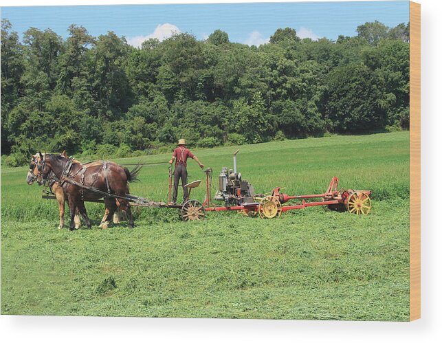 Amish Wood Print featuring the photograph Working the Fields by Lou Ford