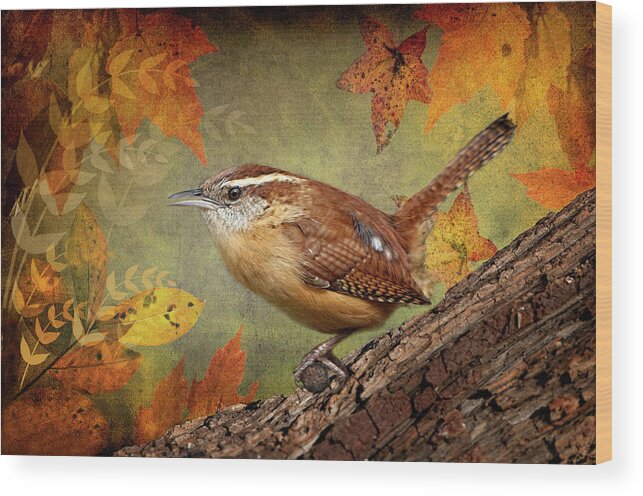 Carolina Wren Wood Print featuring the photograph Wren in Autumn by Bonnie Barry