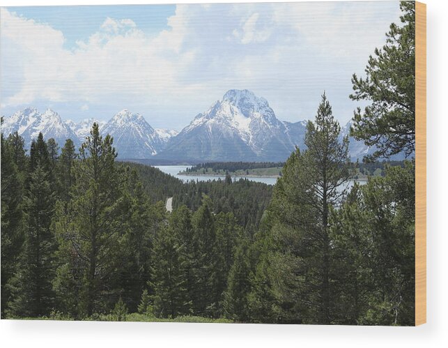 Landscape Wood Print featuring the photograph Wyoming 6490 by Michael Fryd