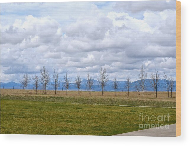 Wyoming Wood Print featuring the photograph Wyoming-Dwyer Junction by Cindy Schneider