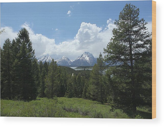 Landscape Wood Print featuring the photograph Wyoming 6500 by Michael Fryd