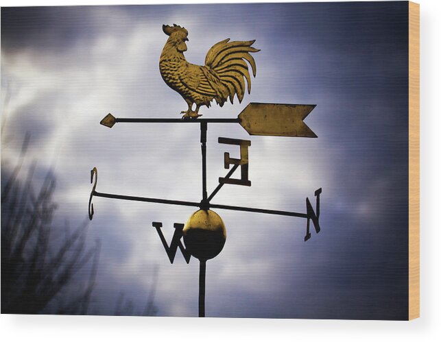 Weather Vane Wood Print featuring the photograph Yard art by Tatiana Travelways