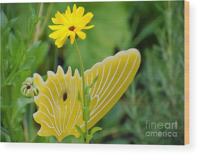 Butterfly Wood Print featuring the photograph Yellow Butterfly by Merle Grenz