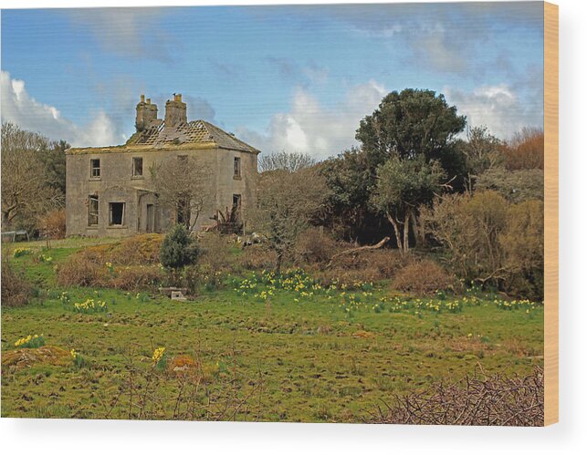 Ruins Wood Print featuring the photograph Yellow Daffodils by Jennifer Robin