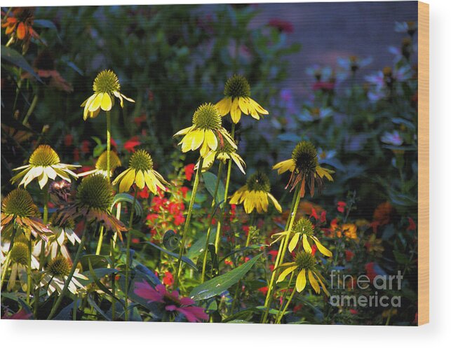 Wood Print featuring the photograph Yellow Daisies and other small red flowers by David Frederick