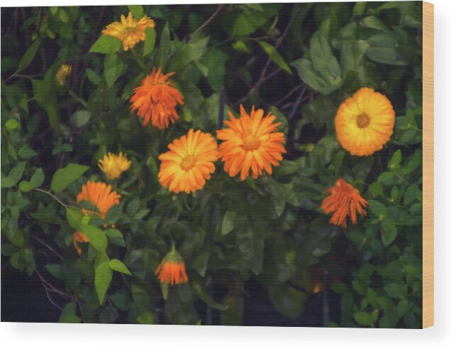 Yellow Wood Print featuring the photograph Yellow Flowers and Green Leaves by Bill Cannon