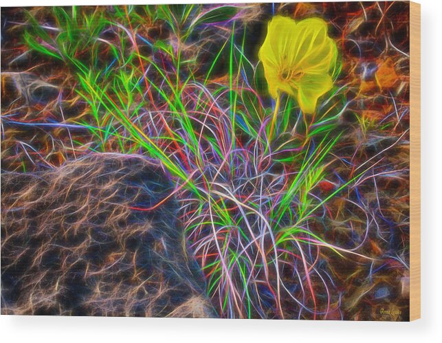 Prairie Rose Wood Print featuring the photograph Yellow Primrose Electrify by Anna Louise