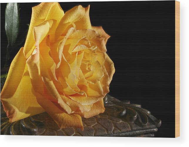 Yellow Wood Print featuring the photograph Yellow Rose by Robert Och