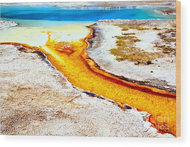 Yellowstone Wood Print featuring the photograph Yellow Steam From A Bright Blue Pool by Adam Jewell