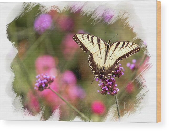 Butterfly Wood Print featuring the photograph Yellow Swallowtail with Brushed Edge by Eleanor Abramson