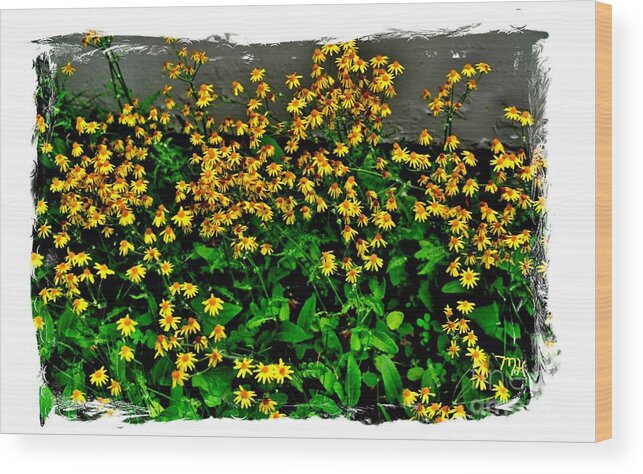 Photo Wood Print featuring the photograph Yellow Wildflowers by Marsha Heiken