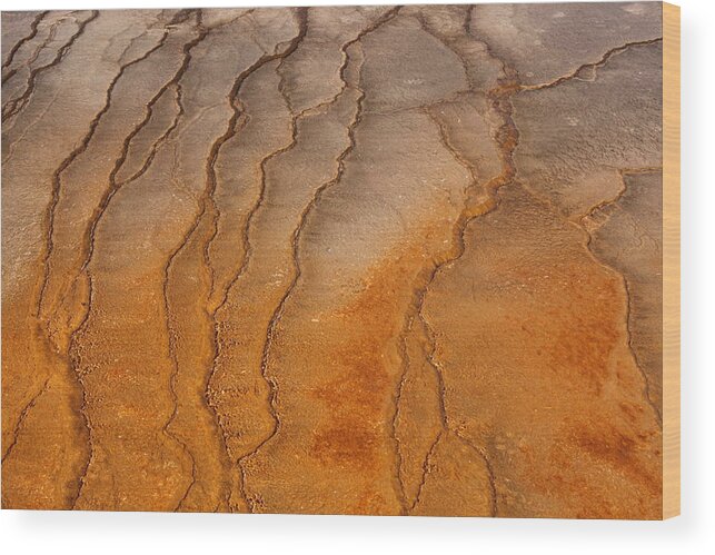 Texture Wood Print featuring the photograph Yellowstone 2530 by Michael Fryd