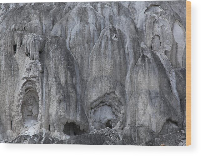 Texture Wood Print featuring the photograph Yellowstone 3683 by Michael Fryd