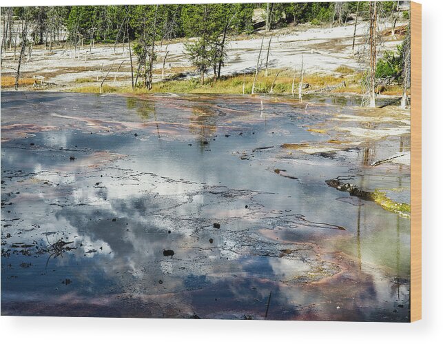Yellowstone Wood Print featuring the photograph Yellowstone Colors #4 by Scott Read