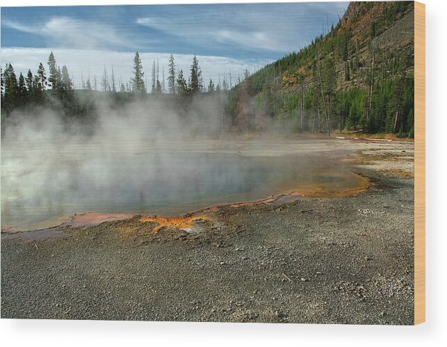 Yellowstone Wood Print featuring the photograph Yellowstone Colors #5 by Scott Read