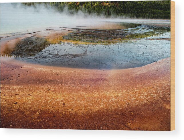 Yellowstone Wood Print featuring the photograph Yellowstone Colors #8 by Scott Read
