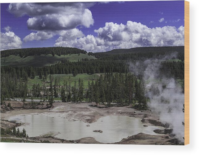 Yellowstone National Park Wood Print featuring the photograph Yellowstone Tar Pits by Jason Moynihan