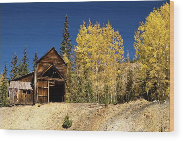 Colorado Wood Print featuring the photograph Yesterday's Treasure by Steve Stuller