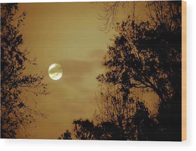 Moon Wood Print featuring the photograph Yesteryears Moon by DigiArt Diaries by Vicky B Fuller