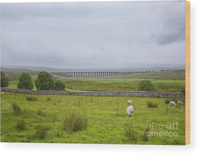Ribblehead Wood Print featuring the photograph Yorkshire Dales with the Ribblehead viaduct by Patricia Hofmeester