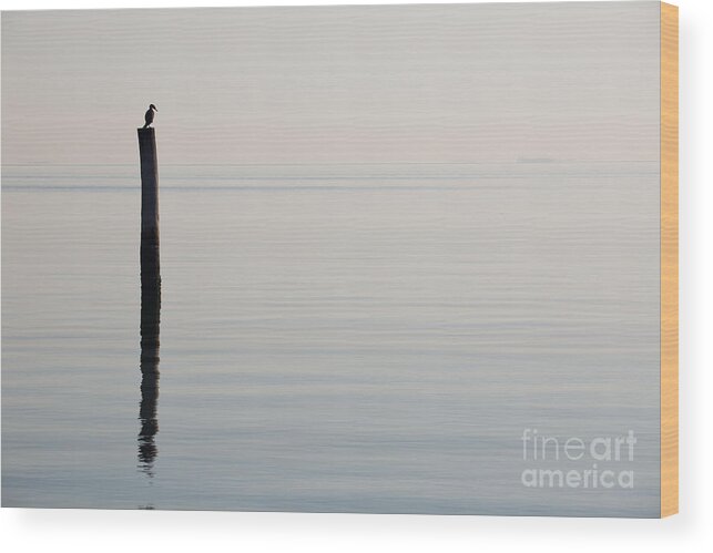 Water Wood Print featuring the photograph Yorktown Cormorant at Daybreak by Rachel Morrison