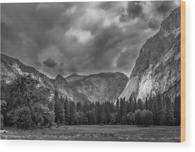 Black And White Wood Print featuring the photograph Yosemite Meadows by Christopher Perez