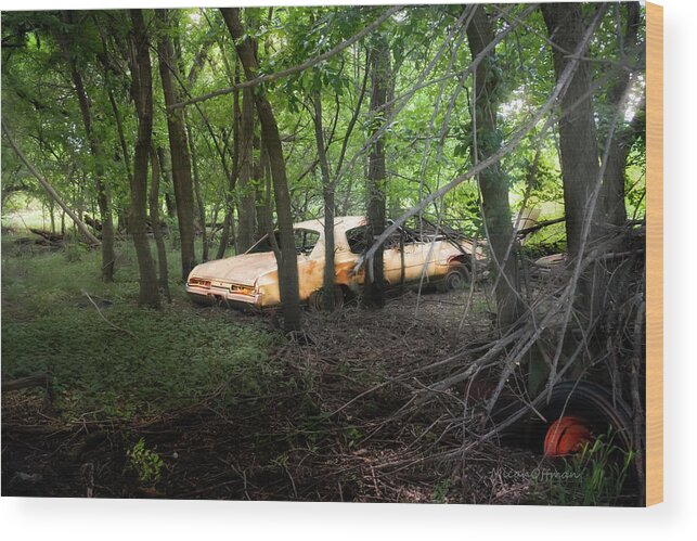 Abandoned Wood Print featuring the photograph Your automobile gonna fall apart by Micah Offman