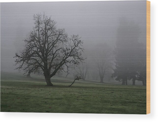 Fog Wood Print featuring the photograph Your Tail is Showing by Albert Seger