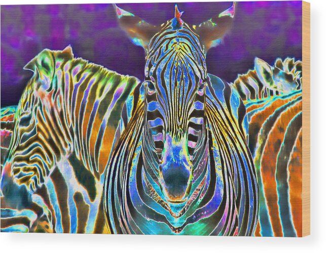 Zebra Wood Print featuring the photograph Zebra Crossing by Nadia Sanowar