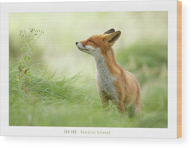 Fox Wood Print featuring the photograph Zen Fox Roeselien Raimond by Roeselien Raimond