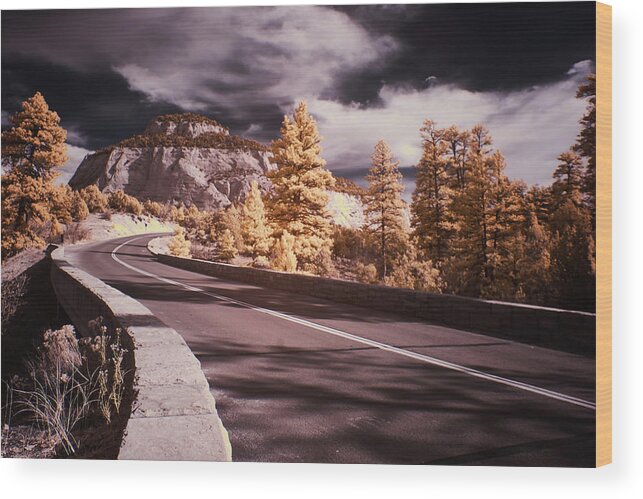 Zion Wood Print featuring the photograph Zion by Jim Cook