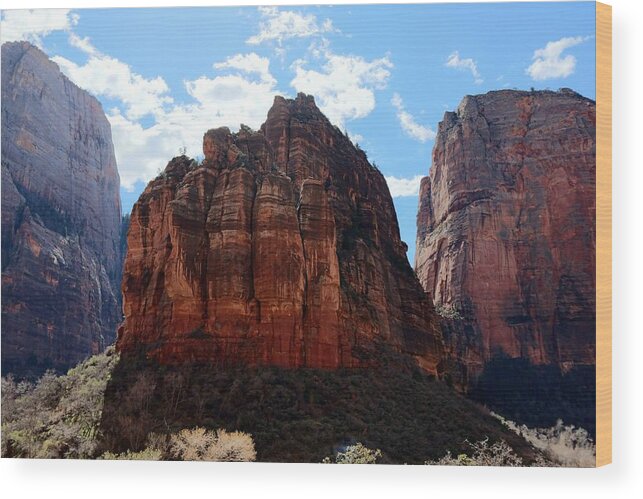 Zion Wood Print featuring the photograph Zion National Park - 5 by Christy Pooschke