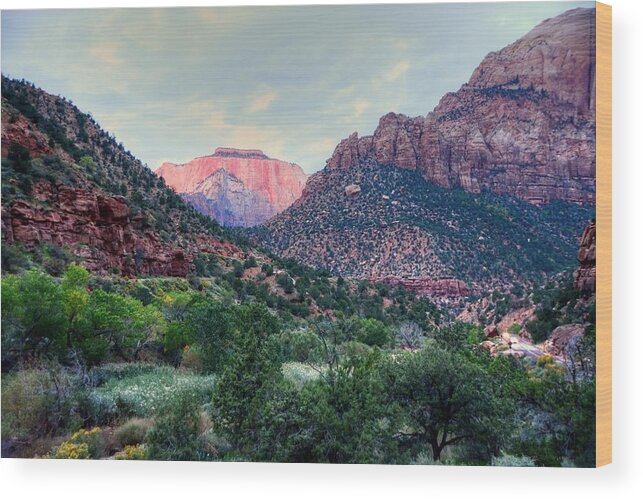 Zion National Park Wood Print featuring the photograph Zion National Park by Charlotte Schafer