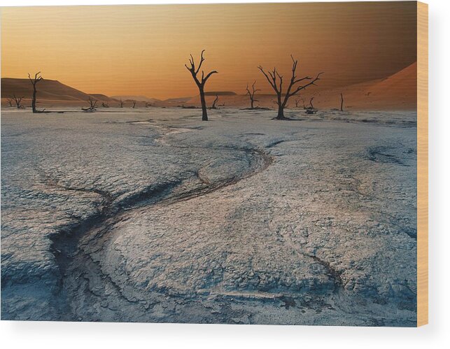 Namibia Wood Print featuring the photograph by Hans Repelnig