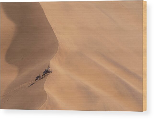 Africa Wood Print featuring the photograph A Group Of Oryx Stands On The Crest Of A Sand Dune #1 by Cavan Images
