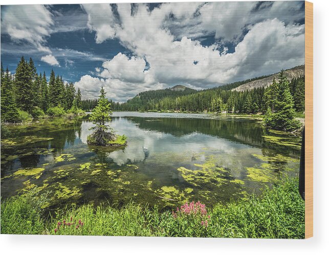  Wood Print featuring the photograph Alta Lakes #1 by Mati Krimerman