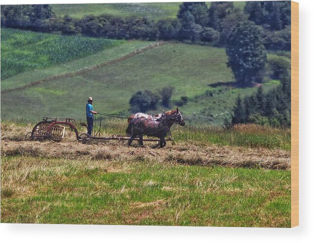 Amish Wood Print featuring the photograph Amish farming #1 by Susan Jensen