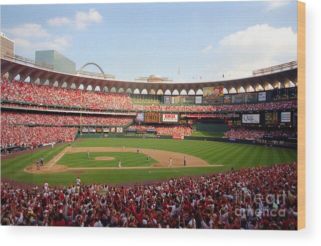 St. Louis Cardinals Wood Print featuring the photograph Baseball - Mark Mcgwire by Icon Sports Wire