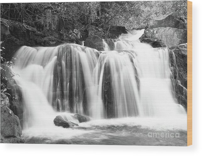 Smoky Mountains Wood Print featuring the photograph Black And White Waterfall by Phil Perkins