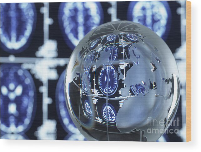 Globe Wood Print featuring the photograph Brain Research #1 by Tek Image/science Photo Library