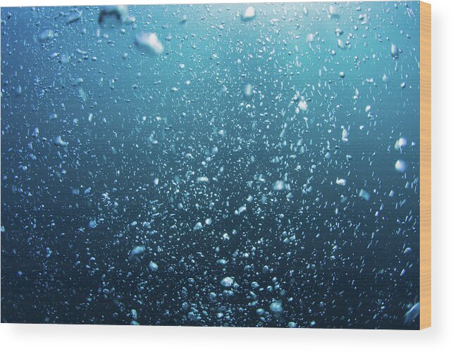 Underwater Wood Print featuring the photograph Bubbles #1 by Mutlu Kurtbas