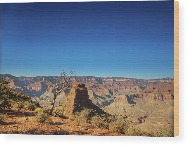 Grand Canyon National Park Wood Print featuring the photograph Canyons and Trees #1 by Kunal Mehra