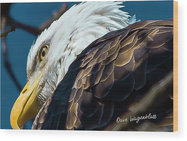 Eagle Wood Print featuring the photograph Eagle #2 by David Wagenblatt