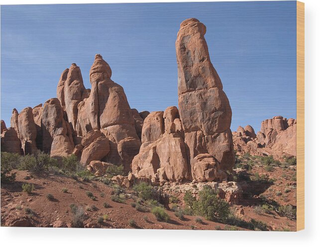 Scenics Wood Print featuring the photograph Fiery Furnace #1 by John Elk