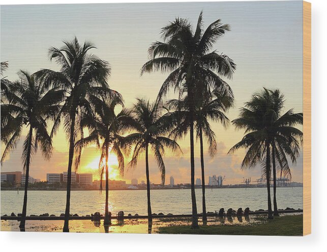 Scenics Wood Print featuring the photograph Florida Miami #1 by Shunyufan